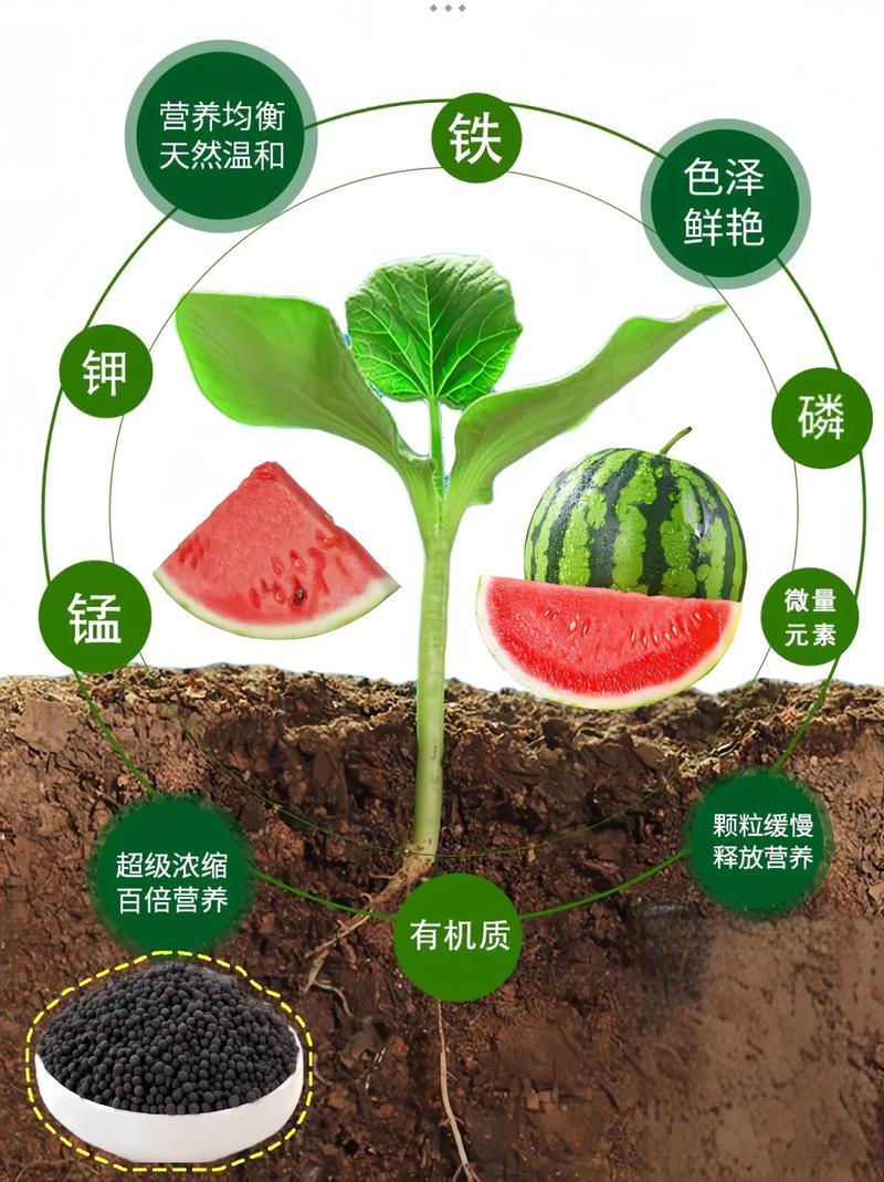 c8484f34-8bb8-482b-9727-b2098838111c.jpg